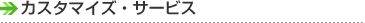 �J�X�^�}�C�Y�E�T�[�r�X